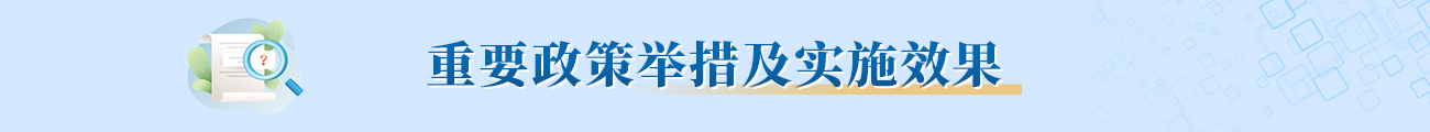 重要政策舉措及實(shí)施效果
